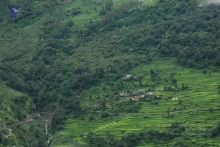 July 07 2008