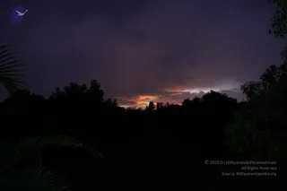 August 10 2011