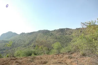 1978 - Tiruvannamalai - InnerGirivala