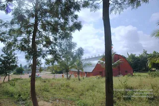 August 18 2006