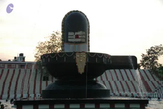June 09 2009