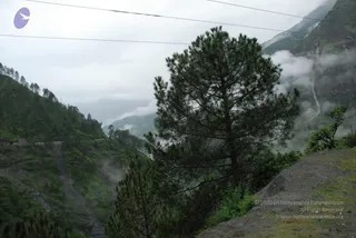 July 08 2008