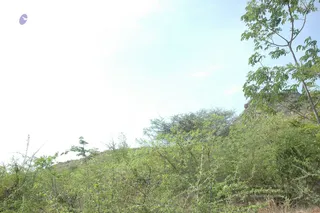 1978 - Tiruvannamalai - InnerGirivala