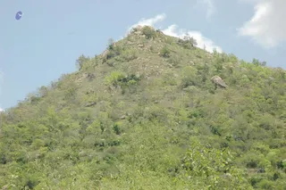April 06 2008