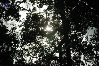 October 21 2006