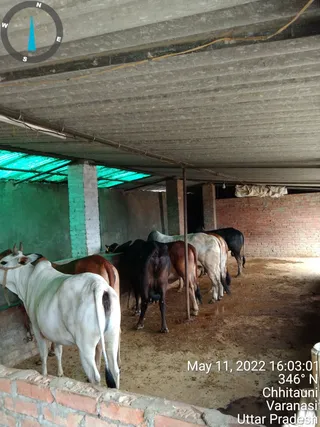 Photo 6678991