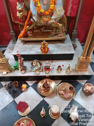 Photo 6678997