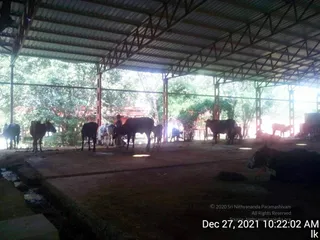 December 27 2021
