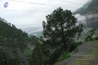 July 08 2008