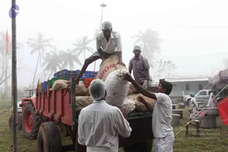 A misty outdoor relief-work scene with men in white shirts and white head coverings unloading large sacks from a red tractor trailer loaded with crates and sacks. A man in white kneels on top of the sacks while another in white hands down a bulky sack; a third man in a lilac shirt stands nearby. Palm trees, a tin-roofed building, stacked metal vessels and red flags surround the open ground.