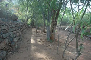 1978 - Tiruvannamalai - InnerGirivala