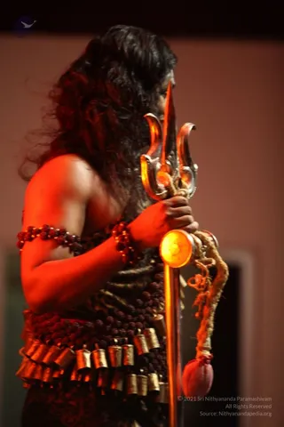 IMG 1551.jpg