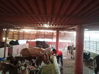 Feb 4 2022 sripuram