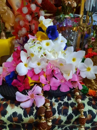 KAILASA SAN FERNANDO, TRINIDAD & TOBAGO on 4/10/2022