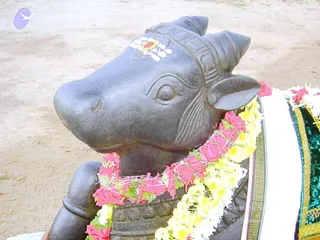 August 26 2007