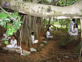 2008 - Glimpses Of Gurukul