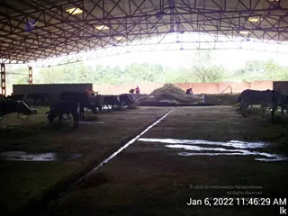January 06 2022