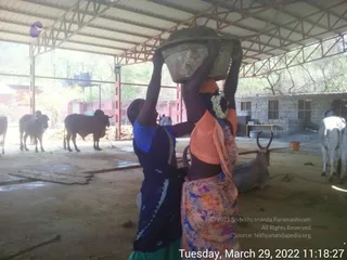 March 29 2022