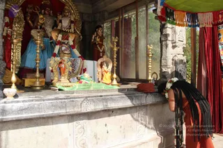 Photograph of a shrine with a large golden-framed deity murti in the background, adorned with white and orange garlands, and smaller figurines and brass oil lamps arranged on a stone platform. In the foreground at right, a person with long black hair wearing an orange-red garment and a floral garland bends forward, hands near the shrine ledge in prayer. A red canopy with green and fringed trim frames the scene.