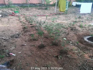 MAy 31 2021