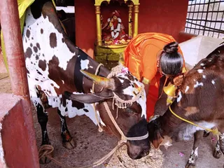 Feb 8 2022 sripuram