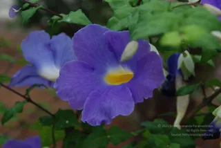 July 08 2010
