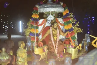 Night procession photograph of a man seated on a silver ratha-style palanquin with a silver canopy decorated with multicoloured tassels and a peacock-feather fan. He wears a saffron-orange robe, rudraksha mala, a long pink-and-white garland, a gold chest ornament and bangles, with a tilak on his forehead; the chariot's red cushion and red drapes frame him. Several men and attendants covered in colourful powder. Blurred blue and white lights and a bright lamp fill the background. a person is seated centre, identified by his saffron-orange robe, long swept hair, rudraksha mala and ceremonial gold ornaments, consistent with the page's reference to Holi and procession.