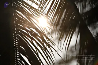 February 05 2011