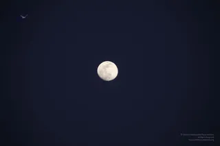 December 08 2011