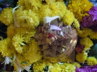 2011 -eNMiracles Collections