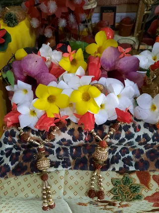 Photo 6679206