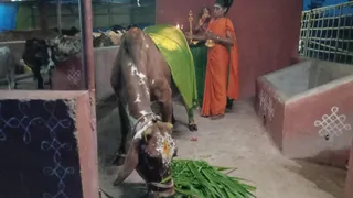 November 28 2022 sripuram