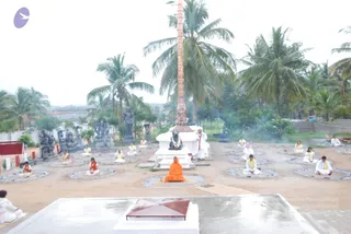 July 28 2010