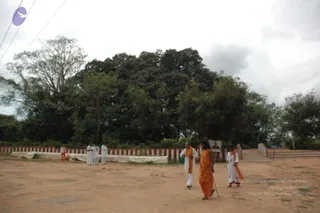 October 07 2006