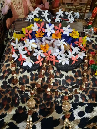 Photo 6679274
