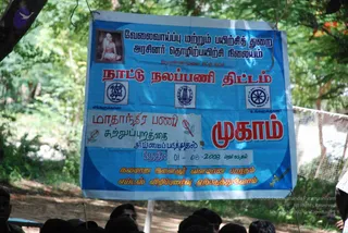 August 01 2008
