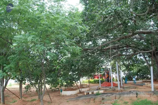 September 07 2009