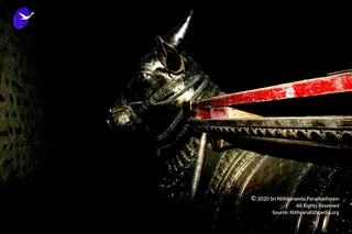 Making Of Sacred Arts University