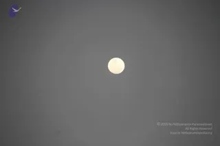 February 24 2013