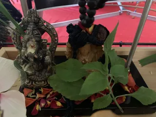 KAILASA LATIN AMERICA on 9/8/2021