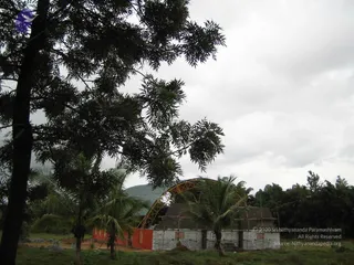 2005 - View-of-Ananda-Sabha-Construction