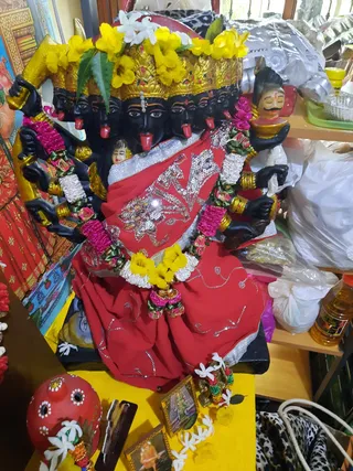 Photo 6679423