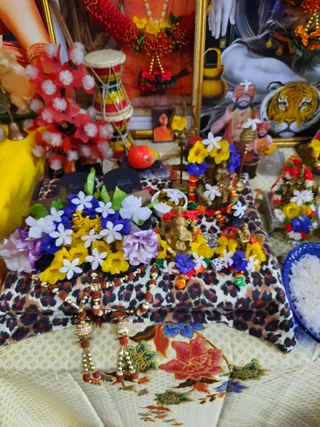 Photo 6679425