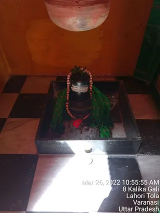 KASHI SARVAJNAPEETAM on 3/26/2022