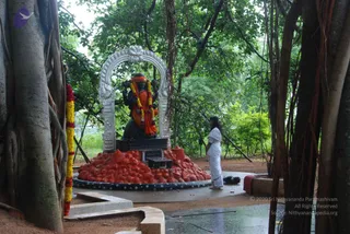 July 11 2010