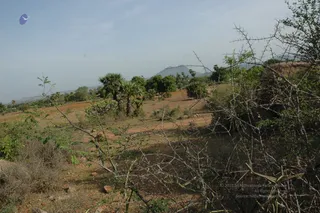 1978 - Tiruvannamalai - InnerGirivala
