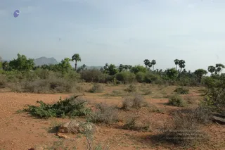 1978 - Tiruvannamalai - InnerGirivala