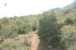 1978 - Tiruvannamalai - InnerGirivala