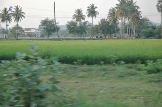 April 2008 - Making Of Kailaasa In Tiruvannamalai