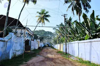 20061110 Photo 910 1pD zOxdBQIjbm9tJOvgHdL-jJRSsVPcY.jpg